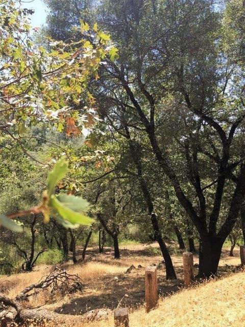 18520 Crescent Ct, Applegate, CA 95703 photo 6