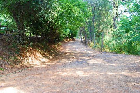 3311 Big Barn Rd, Placerville, CA 95667 photo 28