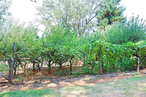 3311 Big Barn Rd, Placerville, CA 95667 photo 26