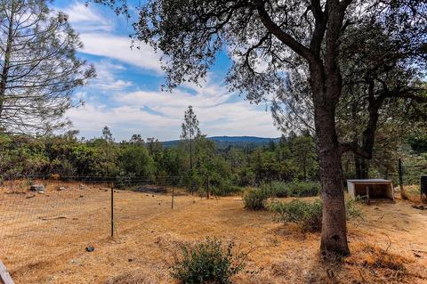 15955 Wolf Mountain Rd, Grass Valley, CA 95945 photo 22
