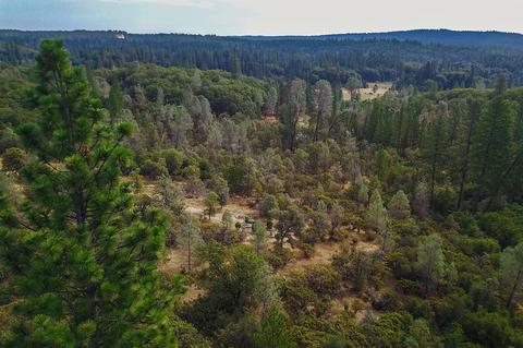 15955 Wolf Mountain Rd, Grass Valley, CA 95945 photo 6