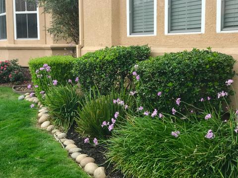 3216 E Jonathan Ln, Modesto, CA 95355 photo 29