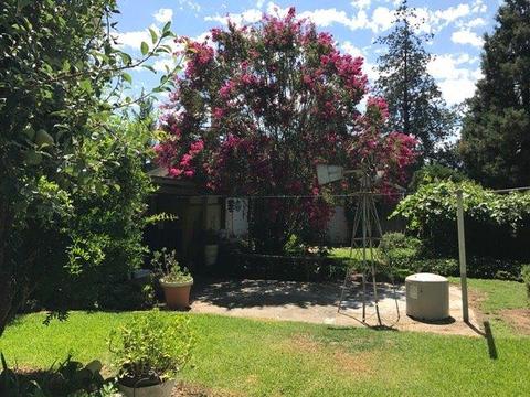 16035 State Highway 59, Snelling, CA 95369 photo 5