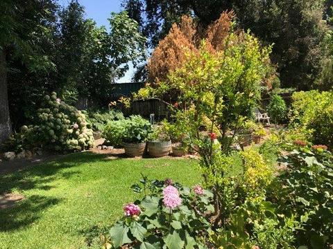 16035 State Highway 59, Snelling, CA 95369 photo 8