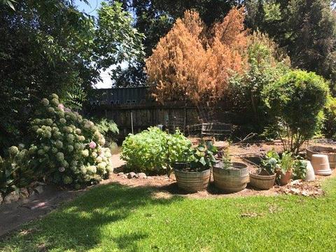 16035 State Highway 59, Snelling, CA 95369 photo 7