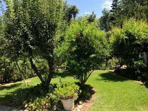16035 State Highway 59, Snelling, CA 95369 photo 6