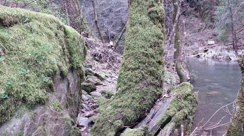 Undisclosed, Volcano, CA 95689 photo 8