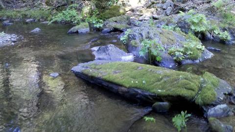 Undisclosed, Volcano, CA 95689 photo 26