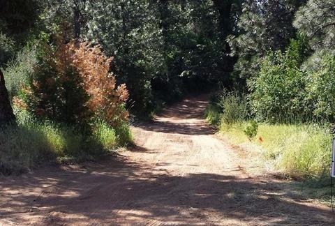 Undisclosed, Volcano, CA 95689 photo 28