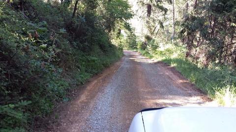 Undisclosed, Volcano, CA 95689 photo 27