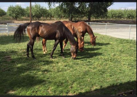 5318 Parker Rd, Modesto, CA 95357 photo 21