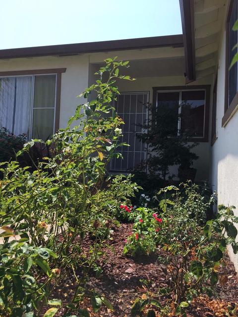480 Sharon Ct, Manteca, CA 95336 photo 19