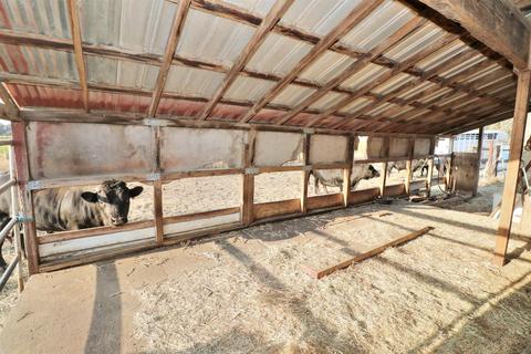 8601 Pleasant Grove Rd, Elverta, CA 95626 photo 33