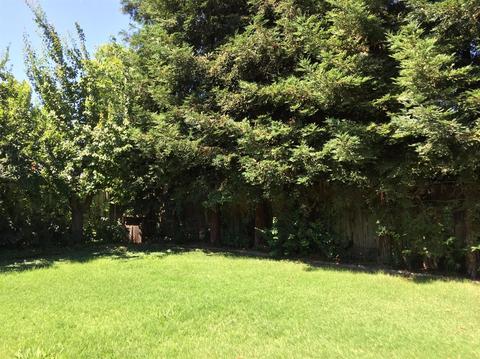 730 E Alexander Ave, Merced, CA 95340 photo 15