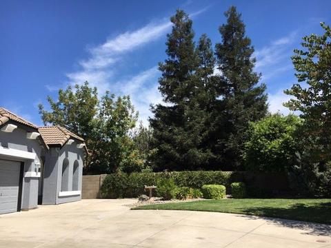 1401 Lecourbe Ct, Modesto, CA 95356 photo 33
