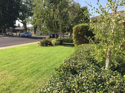 800 Rio Vista Dr, Modesto, CA 95355 photo 4