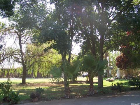7002 E Kettleman Ln, Lodi, CA 95240 photo 2