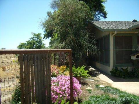 4701 E Collier Rd, Acampo, CA 95220 photo 5