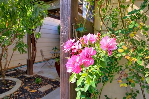 1937 Manet Pl, Davis, CA 95618 photo 5