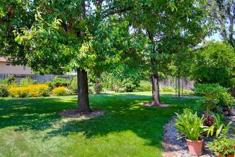 625 Fillmore St, Davis, CA 95616 photo 31