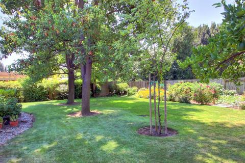 625 Fillmore St, Davis, CA 95616 photo 29