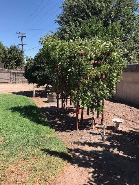 2316 Eicher Ave, Modesto, CA 95350 photo 22