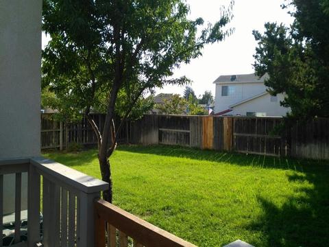 413 Sunshine Way, Turlock, CA 95382 photo 34