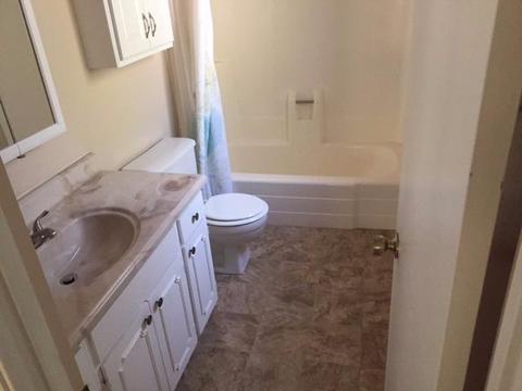 23908 Shake Ridge Rd, Volcano, CA 95689 photo 20