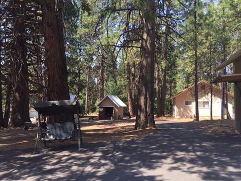 23908 Shake Ridge Rd, Volcano, CA 95689 photo 13