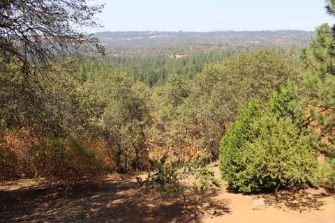 2941 W Ridgewood, Placerville, CA 95667 photo 24