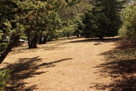 2941 W Ridgewood, Placerville, CA 95667 photo 6