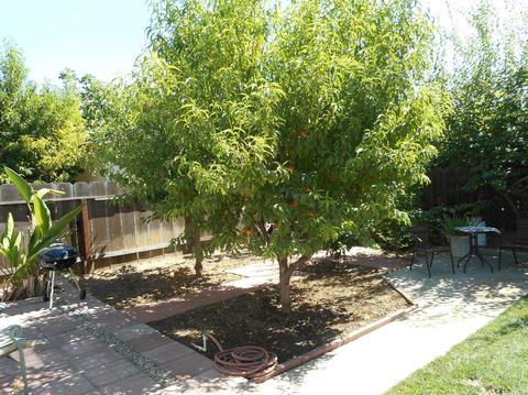 542 Lola Ln, Patterson, CA 95363 photo 19