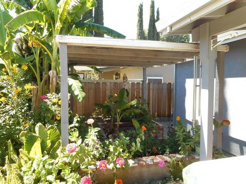542 Lola Ln, Patterson, CA 95363 photo 18
