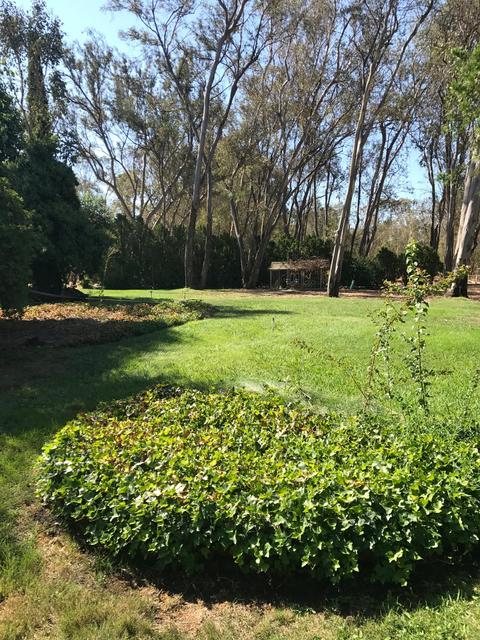 13450 Bennett Rd, Herald, CA 95638 photo 14
