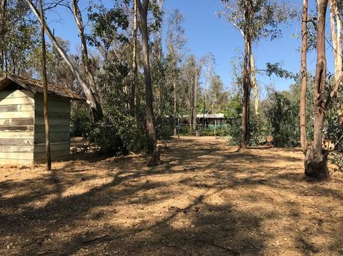 13450 Bennett Rd, Herald, CA 95638 photo 19