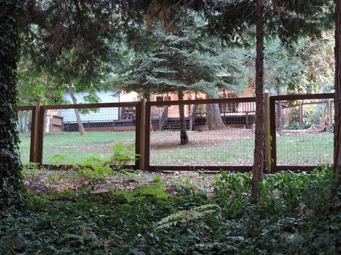 377 Alpine Dr, Colfax, CA 95713 photo 6