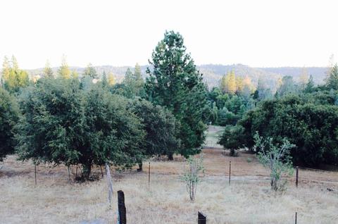 2771 La Paz Rd, Placerville, CA 95667 photo 7