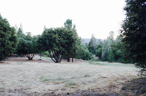 2771 La Paz Rd, Placerville, CA 95667 photo 8