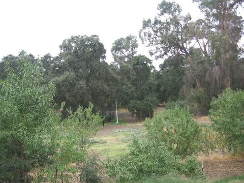 812 Wellsford Rd, Modesto, CA 95357 photo 14
