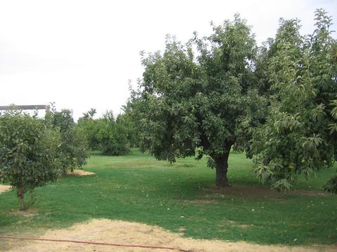 812 Wellsford Rd, Modesto, CA 95357 photo 20