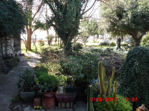 22007 I St, Crows Landing, CA 95313 photo 9