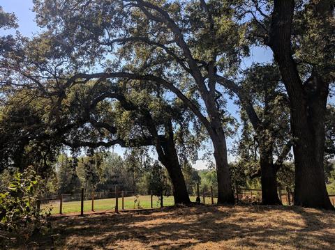 3290 Cherry Acres Rd, Cool, CA 95614 photo 17
