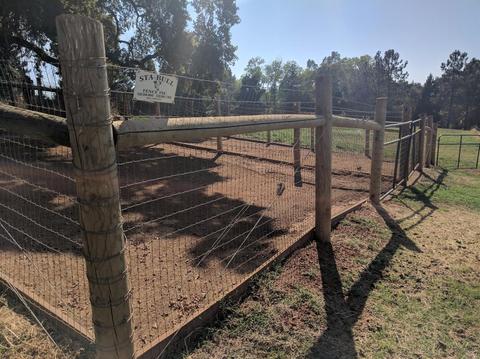 3290 Cherry Acres Rd, Cool, CA 95614 photo 23