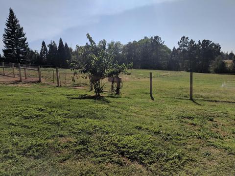 3290 Cherry Acres Rd, Cool, CA 95614 photo 25