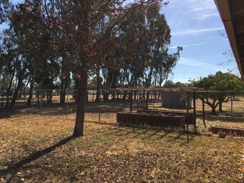 10315 Base Line Rd, Elverta, CA 95626 photo 22