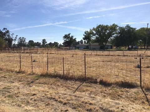 10315 Base Line Rd, Elverta, CA 95626 photo 30