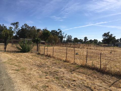 10315 Base Line Rd, Elverta, CA 95626 photo 31