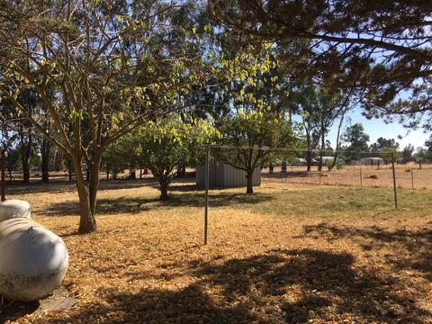 10315 Base Line Rd, Elverta, CA 95626 photo 29