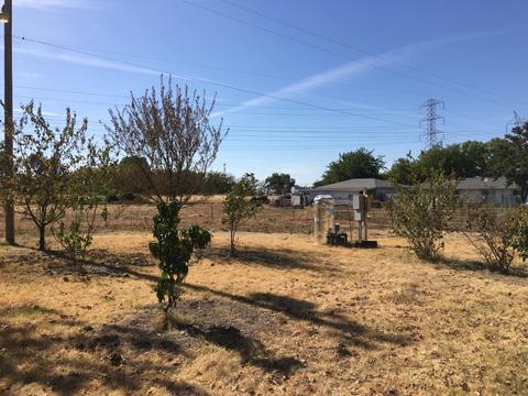 10315 Base Line Rd, Elverta, CA 95626 photo 26