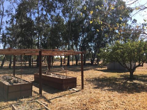 10315 Base Line Rd, Elverta, CA 95626 photo 23